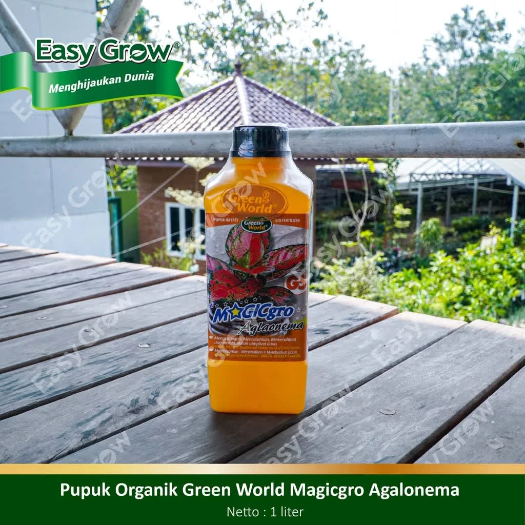 PUPUK GREEN WORLD MAGIC GRO G5 AGLONEMA