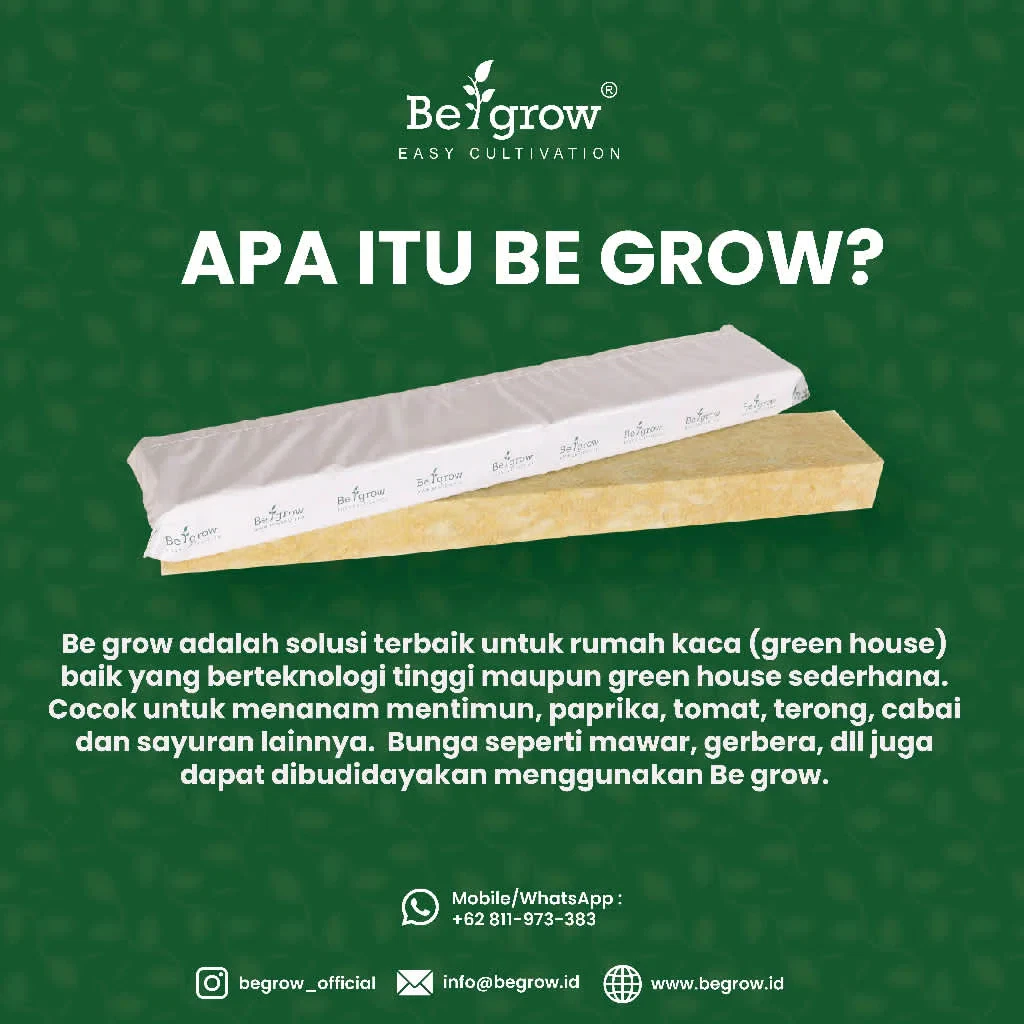 ROCKWOOL BE GROW SINGLE PACKAGING - Image 2
