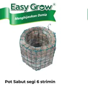 SABUT STRIMIN SEGI 6