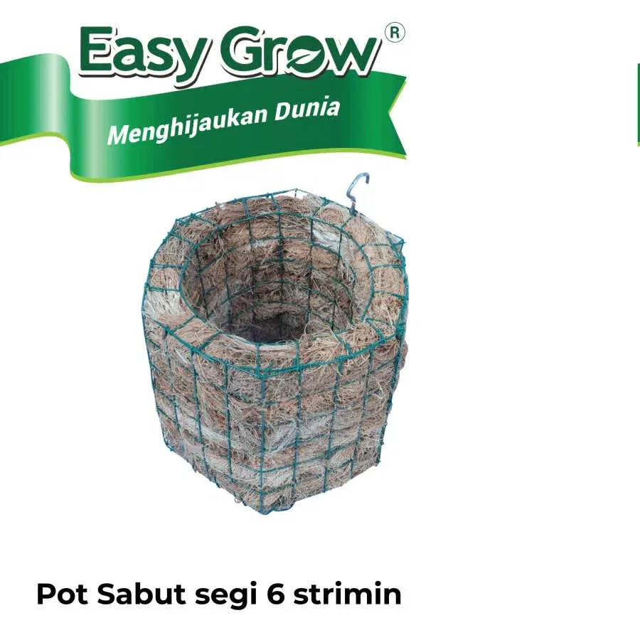 SABUT STRIMIN SEGI 6