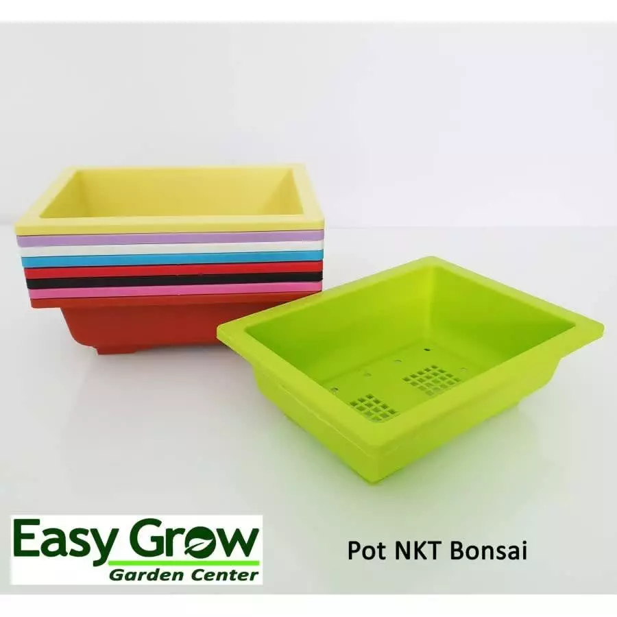 NKT BONSAI 01 BIRU - Gambar 2