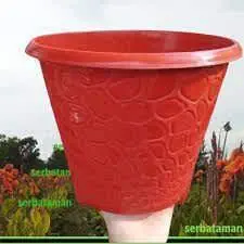 BJ CORAL 03 COKLAT