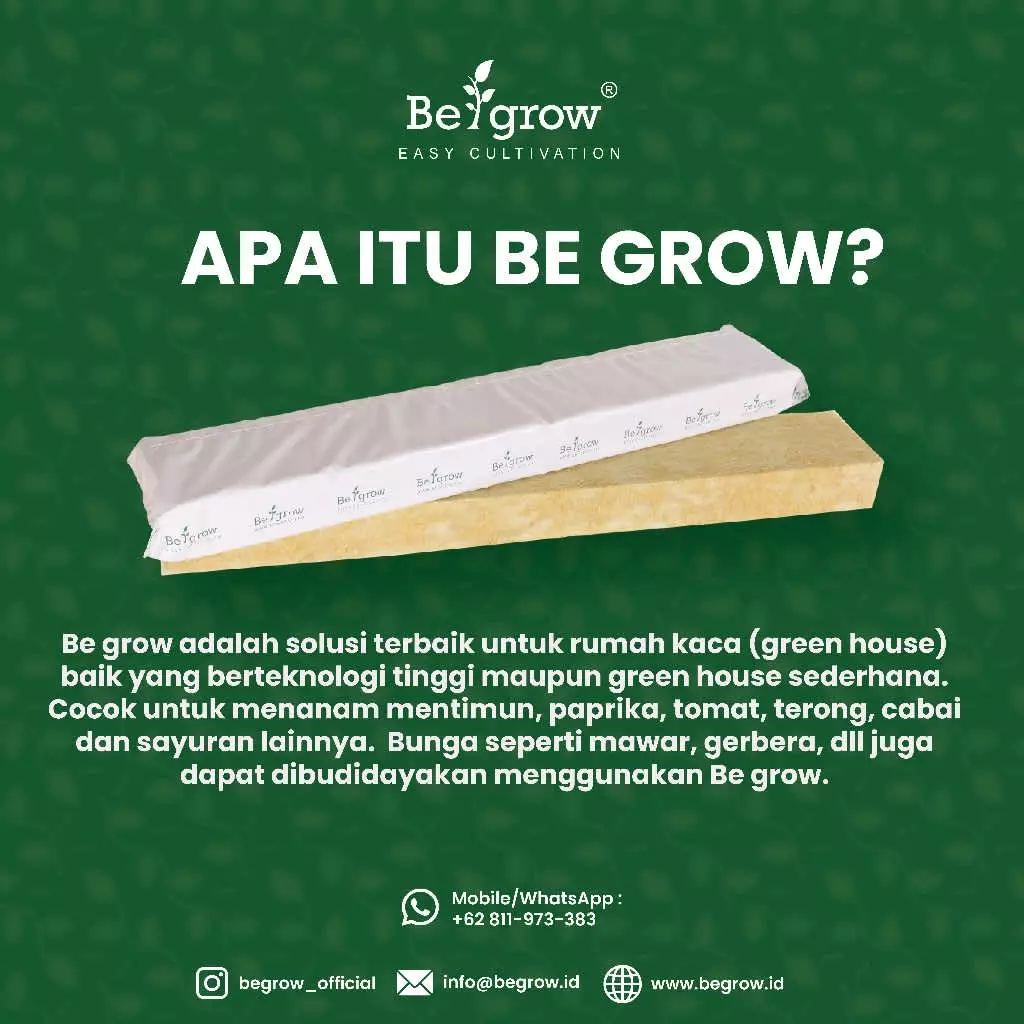 ROCKWOOL BE GROW SINGLE PACKAGING - Gambar 2