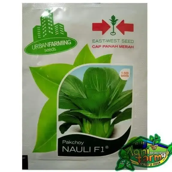 PAKCOY NAULI