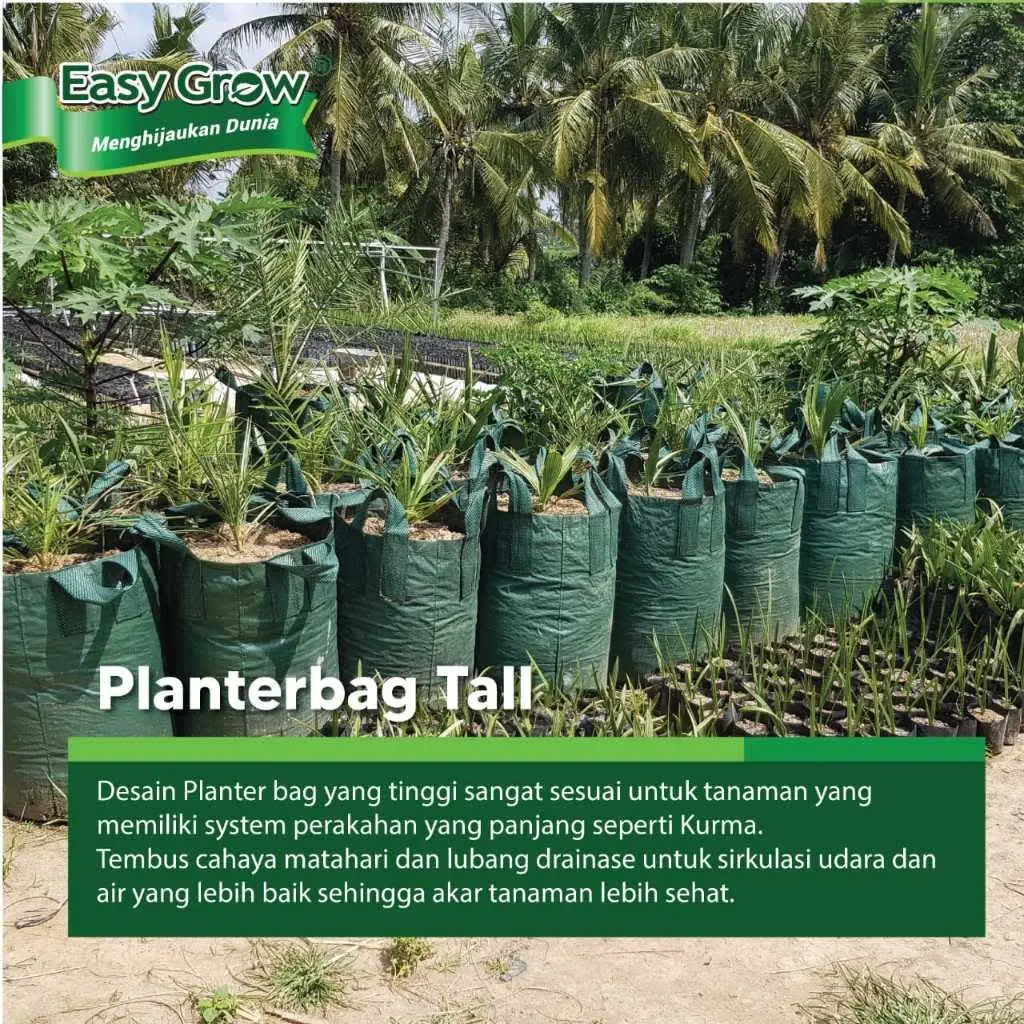 PLANTER BAG TALL 200 LITER HIJAU