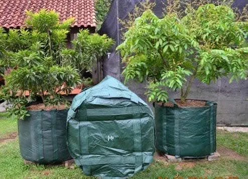 PLANTER BAG 500 LITER HIJAU
