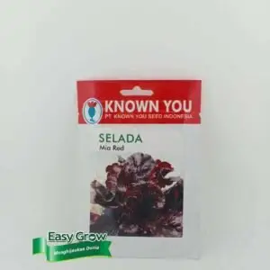 BENIH LETTUCE MIA RED EASY GROW