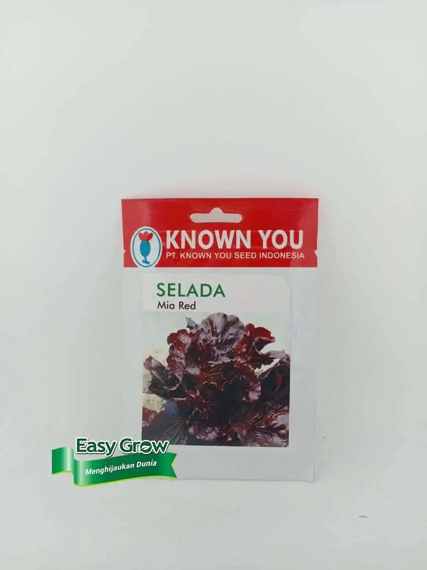 BENIH LETTUCE MIA RED EASY GROW